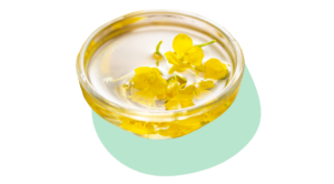 Bowl of rapeseed oil