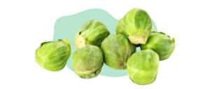 Sprouts