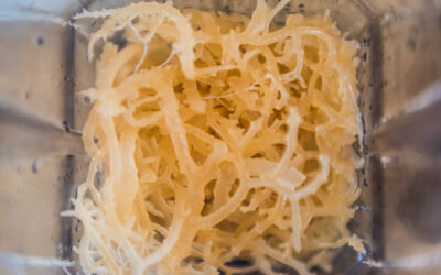 Organic sea moss: cure-all or catchy con?