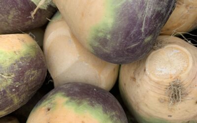 Rooting for rutabaga: 5 easy things to do with swede